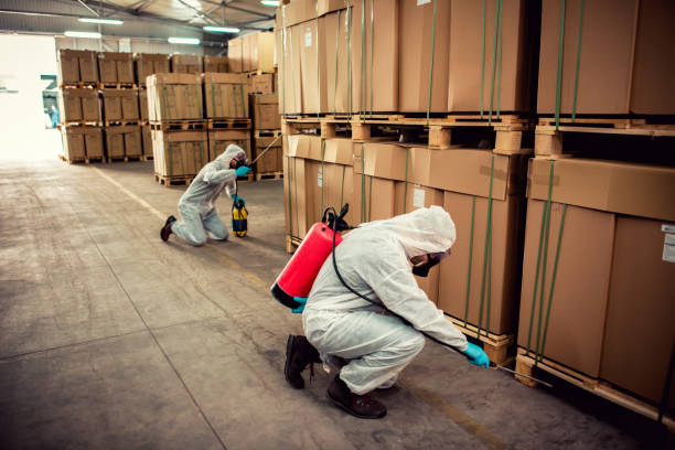 Best Pest Removal Services  in Plainview, NY