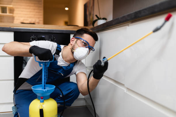 Best Pest Control Near Me in Plainview, NY