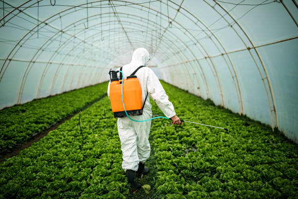 Best Pest Control for Homes  in Plainview, NY