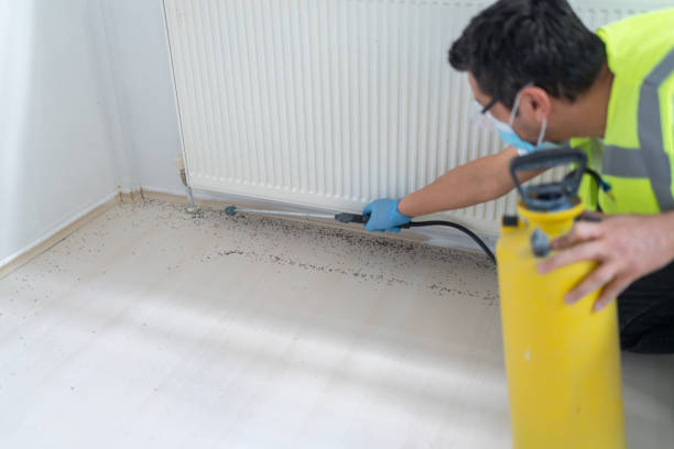 Best Mosquito Control Services  in Plainview, NY